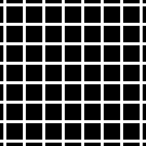 Image result for grid illusion